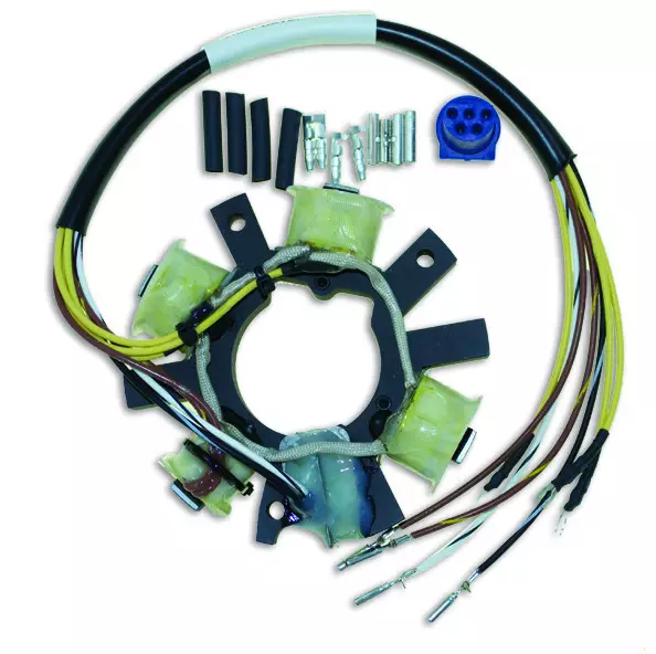 for Johnson stator 9.9-60 horsepower 2 cylinder, 5-way ship outline, 173-1651 accessories