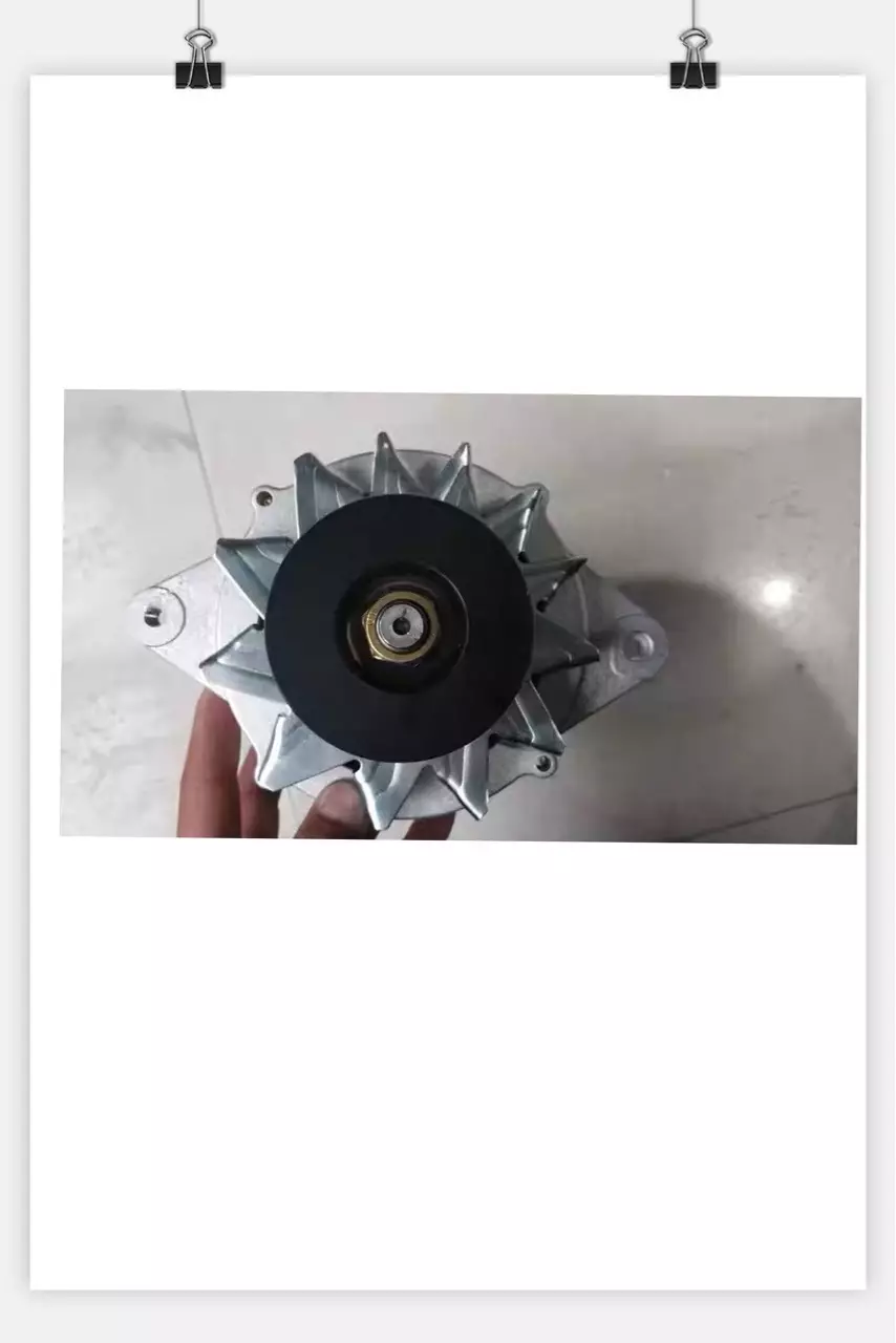 for Weichai Yangtze River generator JFB272Y generator 2102090148E generator