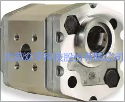 Italian Marzocchi Matsuchen Gear Pump 1PD3.3GAS Inventory