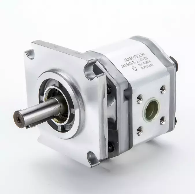 Italian Marzocchi Matsuchen gear pump Alp1aq-D-2.1