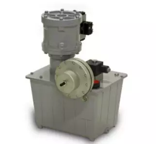 Italy Olmec gas liquid pressure pressure pump P826-265