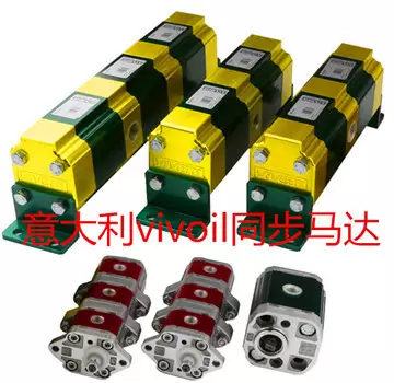 Italy vivoil gear synchronous motor RV 0d/0.17*6 0.17cc/Rev 9rd0601