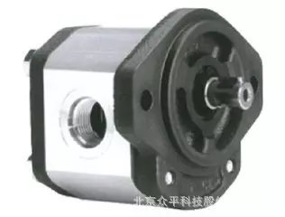 Marzocchi gear pump GHP2A-D-13-FG Italy Mazuci gear pump